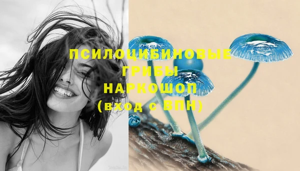 ешки Алексеевка