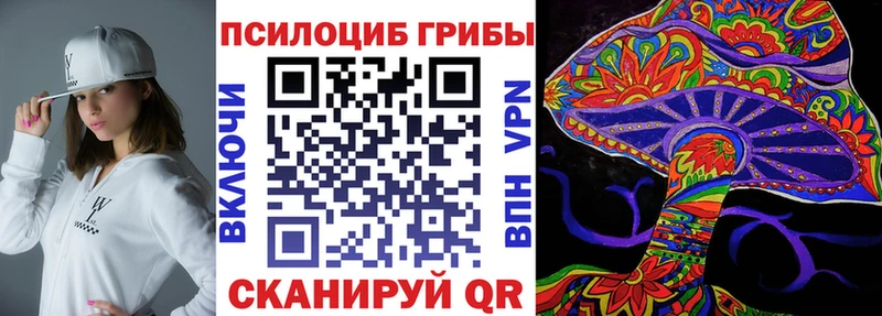 Галлюциногенные грибы Psilocybine cubensis  наркотики  Архангельск 
