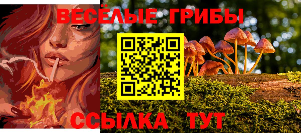 Псилоцибиновые грибы GOLDEN TEACHER Архангельск